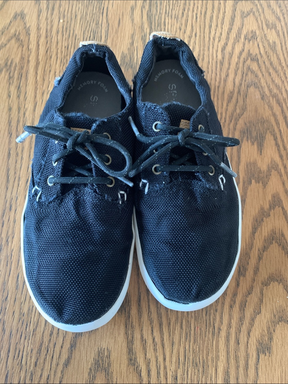Boys Sperry Topsider “Bodie” Canvas Sneakers